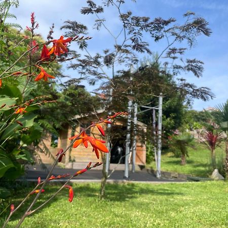 La Wodapalousa, Surf & Crossfit Guesthouse, 800M From Beach Bidart Exterior foto